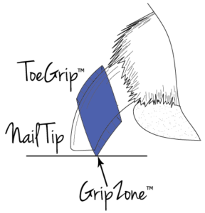 Diagram of a dog's nail wearing a ToeGrip and showing how the non-slip grip makes contact with the floor to create a Grip Zone